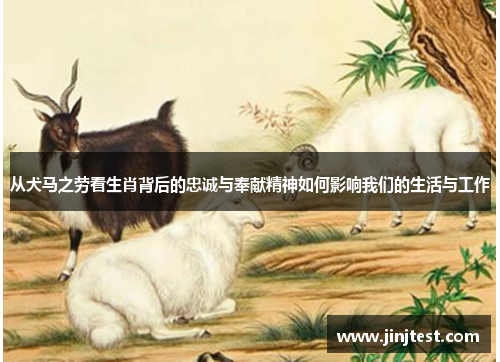 从犬马之劳看生肖背后的忠诚与奉献精神如何影响我们的生活与工作